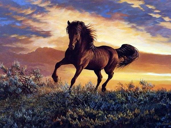 Con ngựa số mấy - Mơ thấy ngựa là điềm gì, hên hay xui?