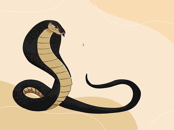 Mơ thấy rắn hổ mang đánh con gì đổi đời nhanh chóng?